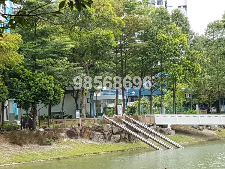 Blk 44 Bendemeer Road (Kallang/Whampoa), HDB 3 Rooms #158924722